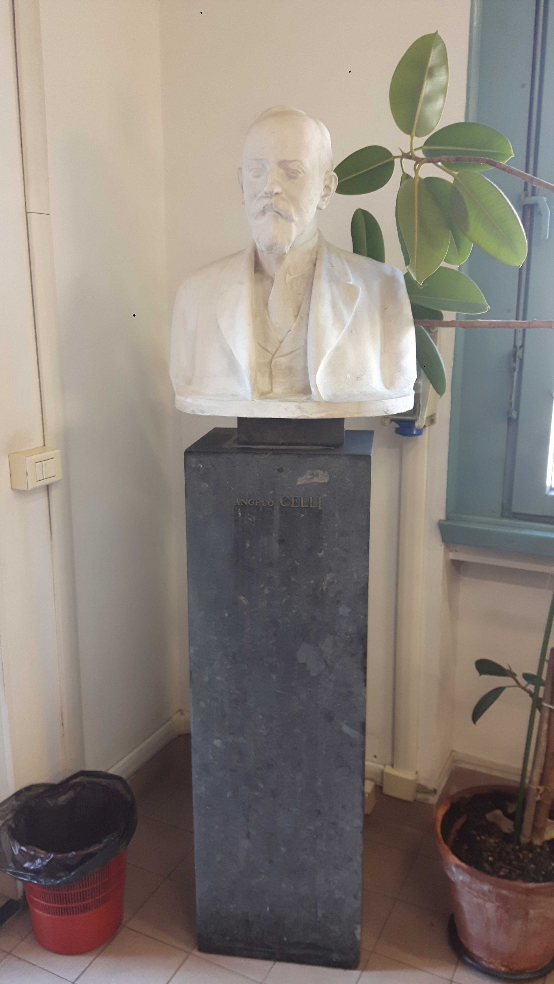 Angelo Celli's bust, Istituto di Igiene G. Sanarelli in Rome (1).jpg